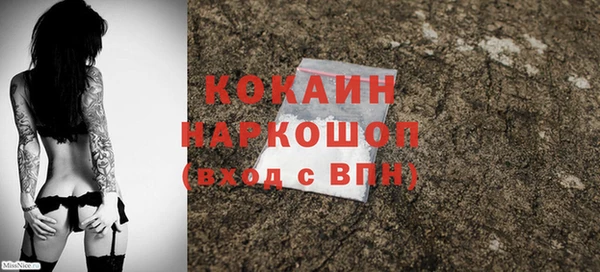 дурь Покачи