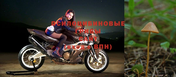 дживик Алзамай
